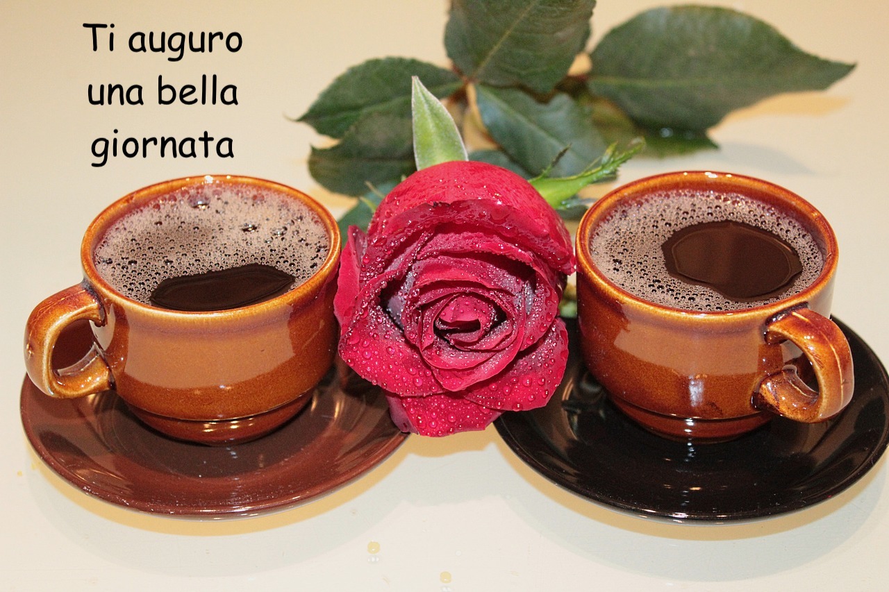 buona giornata immagine con rose e caffè